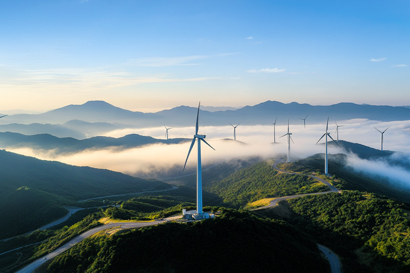 The Development Status and Competitive Landscape of China's Wind Turbine Industry